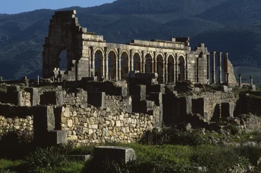 Basilica, AD 217
